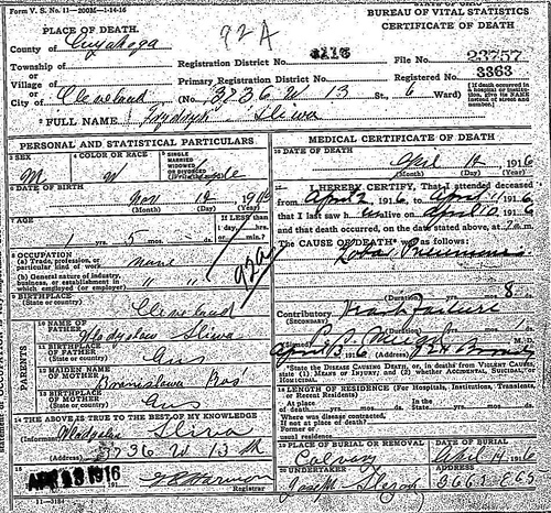 Death Certificate - Sliwa, Frederick (1915-1916)